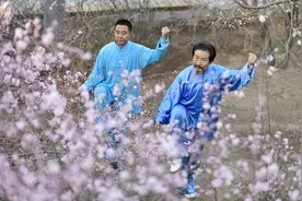 呼和浩特：桃花树下习太极图片