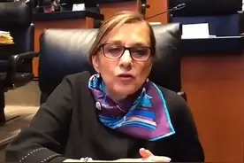 墨西哥女官员视频会议忘记关摄像头光身出镜，被发网上后遭到抨击图片