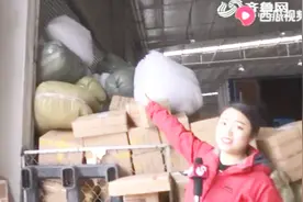 双十一太吓人！快递公司不睡觉，分拣中心堆积货物比人都高！视频封面