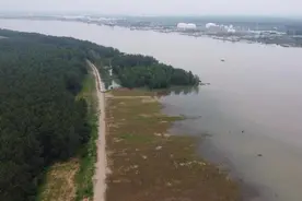 南京栖霞区八卦洲街道“人防”“技防”齐上阵，防汛保障勇当先图片