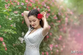 如何拍出浪漫诗意的蔷薇花人像？用好这一招，拍出理想的花卉照片图片