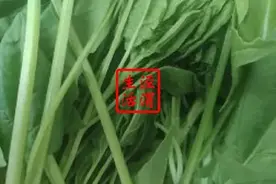 舌尖上的陕西丨不一样的菠菜面图片