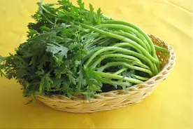 茼蒿种植小窍门，科学管理是关键，这样种茎秆鲜嫩产量高图片