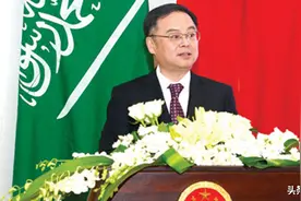 疫情当前沙特破例为中国人安排 ID延期？免费！签证过期？免罚款图片