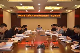 邻水县召开县委城乡基层治理委员会第一次全体会议图片