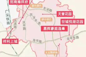 东莞新房｜凤岗踩盘记 （中）图片