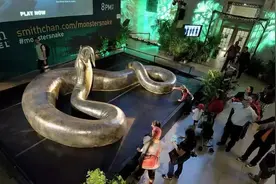 森蚺是最大的蛇类？拜托！看看6000万年前的泰坦蟒吧图片