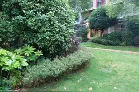 创新学科 平衡学图片
