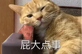 表情包：屁大点事  也发朋友圈  你看看你图片