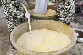 养好十头猪，胜打一年工图片
