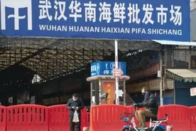 疫情未散就吃野味！男子敲晕黑天鹅带回家炖汤，将面临重罚图片