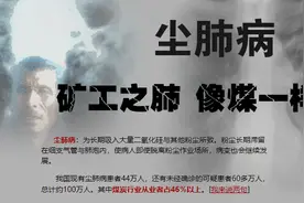 肺吸入灰尘能排出吗图片