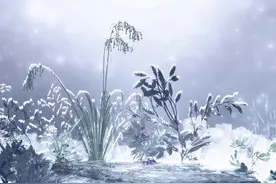网友提问：今年雨水多，老人说冬天几乎不会下雪，有什么根据吗？图片
