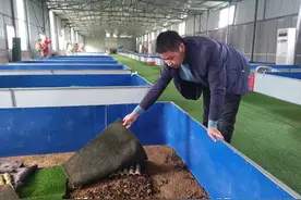 “蜈蚣哥”经营“毒产品”！沈丘好人赵振伟和他的扶贫车间图片