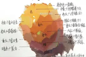 色彩苹果的那些“套路”！美术基础/水彩画入门图片