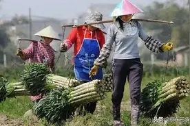 问农村打工男人一个问题，是心上人重要，还是枕边人重要？图片