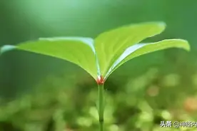 脑梗死常见的类型有哪几种？哪一种最轻，哪一种最重？图片