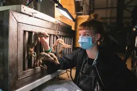 侏罗纪世界3片场照流出，惊现逼真恐龙，剧组需遵守105页安全指南图片