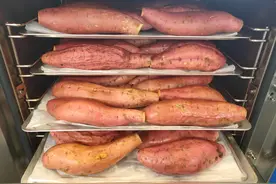 东贝热风炉烤箱商用大容量烘焙炉披萨蛋糕面包店多功能电烤箱图片