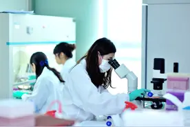 新药研发背后：研发、临床、上市，每一关都是九死一生，成功率不足10%图片