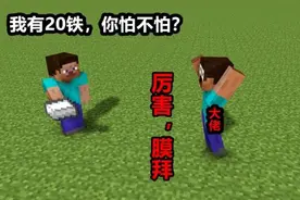 盘点MC中的5个神梗，20铁的传奇故事！图片