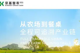 京基智农超27亿扩产生猪养殖 房地产收入34亿仍为营收主要来源图片