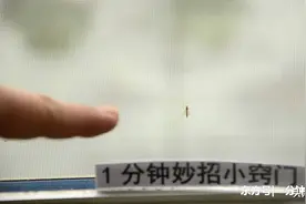 家里有蚊子不要慌，教你一个农村土方法，蚊子有多少灭多少，实用图片