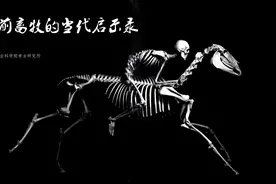 史前畜牧的当代启示录—从动物考古学角度谈人与动物的关系图片