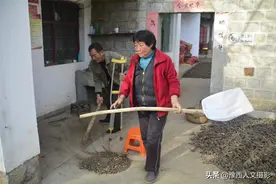 父母离世20年后，三姐弟又过回一家人，大姐做饭二姐帮弟弟干活图片