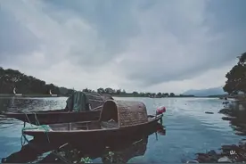心中若有桃花源，何处不是水云间——古堰画乡图片