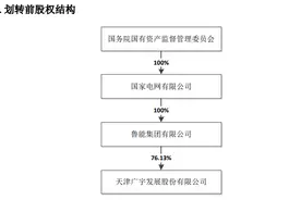 鲁能集团无偿划转至中国绿发图片