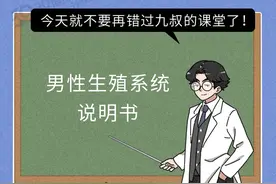 男性的生殖系统，你真的了解吗？包含哪些器官？都有什么功能？图片