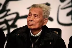 吴冠中：照相发明之后，写实主义必定要消亡图片