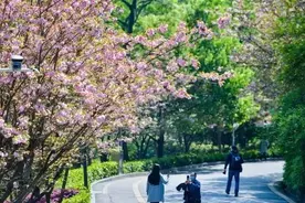 贵阳阿哈湖国家湿地公园有序预约分散入园，4月18日单日入园人数达一万四千人左右图片