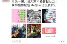 《动物森友会》玩法浅析：玩家们没日没夜的到底在玩什么？图片