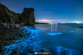 绝美！大连海域出现荧光海 梦幻景致宛若蓝色星河图片