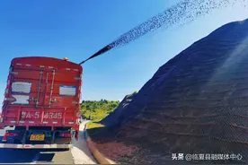 临夏县：边坡修复绿化工程让旅游大通道“土坡”穿“绿装”图片