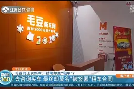 买车却被“签”租车合同，毛豆新车网：销售员说话都有水分图片