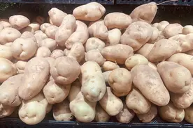 土豆保存原来这么简单，记住这5招，放半年不腐烂不变绿也不发芽图片