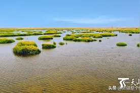 生机勃勃的巴依孜湖图片