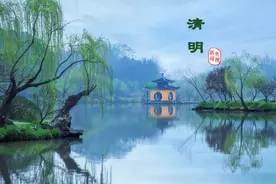 清明 | 梨花风起，思念随风化雨图片