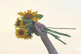 席慕蓉笔下的10句话，句句道尽人生的真相图片