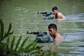 越南特工为什么难缠图片