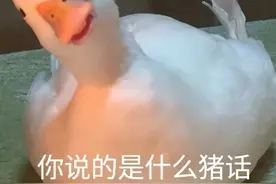 萌娃怼人表情包图片