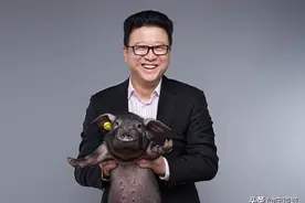 身价1250亿网易创始人丁磊跨界养猪背后，成为斜杠青年需要几步？图片