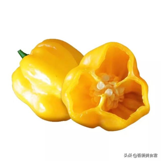 石柱花胶 2026年石花胶是什么