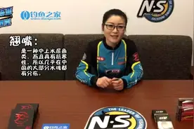 翘嘴的习性及装备选择｜路亚小课堂图片