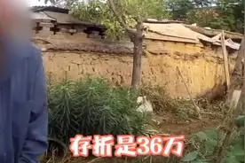 大爷瞒着老伴在树下埋了36万8找不到了，网友们调侃:私房钱不好藏图片