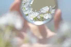 「晚安·好梦」倘若深情被辜负，余生尽予孤独又何妨图片