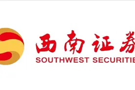 “中国第九家上市券商”西南证券，携手蓝凌打造移动OA图片